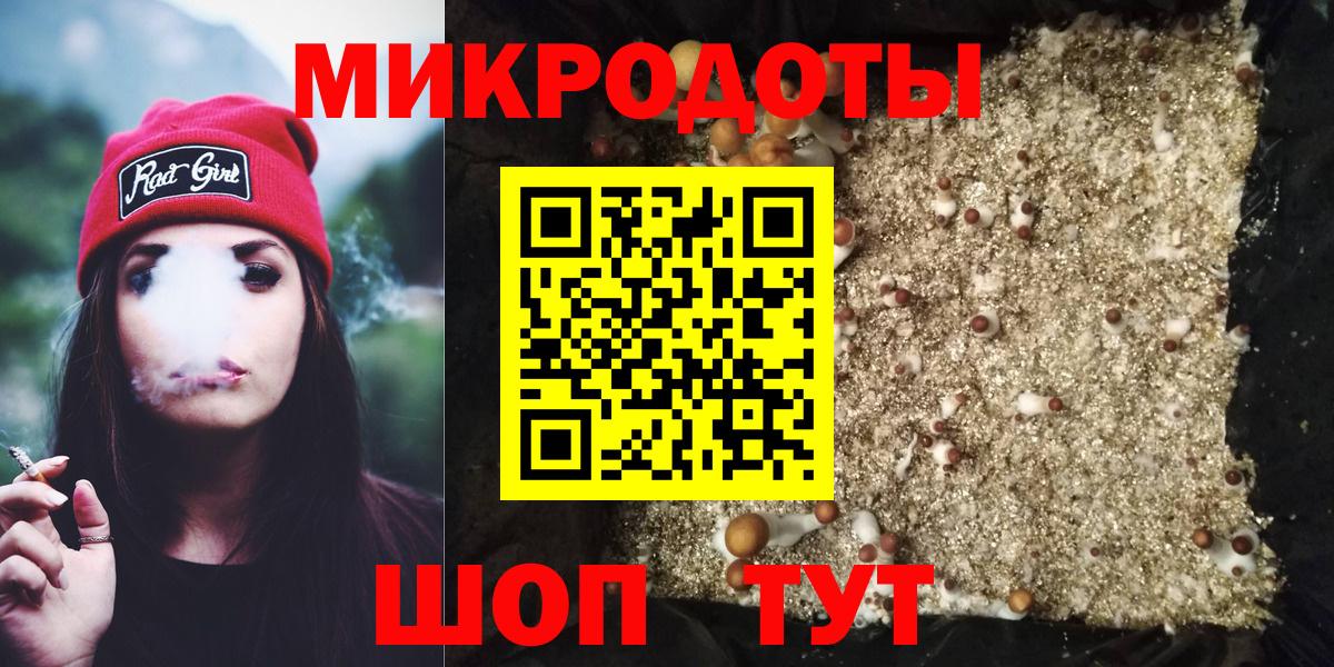 Курчалой  Галлюциногенные грибы MAGIC MUSHROOMS  Вход с VPN 